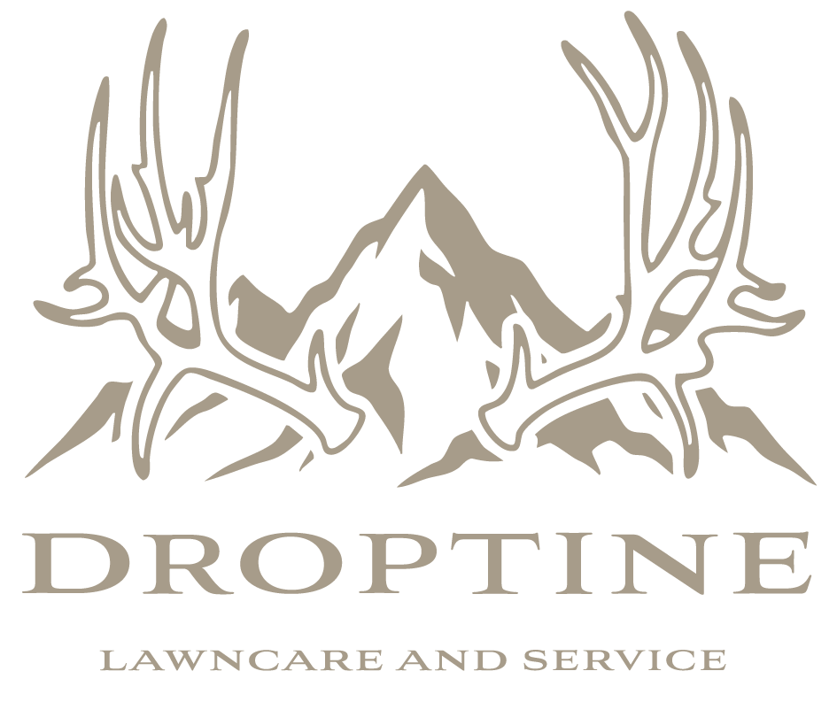 Droptine Lawncare